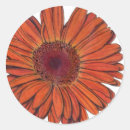 Recherche de gerbera rouge autocollants Botanique