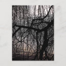Recherche de ouvrir cartes postales Nature