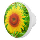 Recherche de tournesol boutons et poignées de porte Moderne