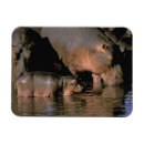 Recherche de hippopotame magnets Africain