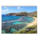Recherche de copies photographie Tropical