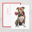 Recherche de chiot pitbull cartes postales Amour