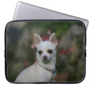 Recherche de chiwawa macbook housses Chien