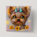 Recherche de yorkie badges Chiot