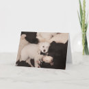 Recherche de extraction vœux cartes Extracteur