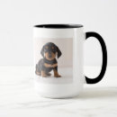 Recherche de chiot teckel tasses Basset allemand