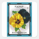 Recherche de pansy autocollants Vintage