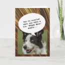 Recherche de joyeux anniversaire vieux chien cartes invitations Drôle