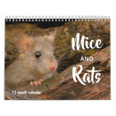 Recherche de rattie photographie Souris
