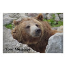 Recherche de ours brun posters Portrait
