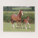Recherche de sang puzzles Animal