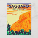 Recherche de cactus saguaro cartes postales Parc national de saguaro