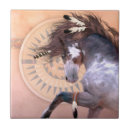 Recherche de indigène carreaux Américain