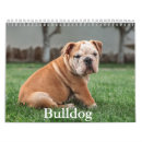 Recherche de chien de taureau bureau fournitures Chiot
