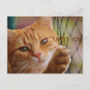Recherche de chat amour cartes postales Animaux domestiques