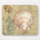 Recherche de coquilles tapis souris Coquillage de conque