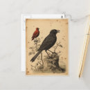 Recherche de oiseau rouge cartes postales Vintage