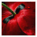 Recherche de macro photographie Nature