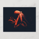 Recherche de poulpe orange cartes postales Créature marine