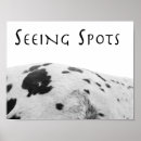 Recherche de appaloosa posters Taches