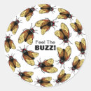 Recherche de insectes autocollants Cigales