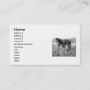 Recherche de jument cartes visite Noir