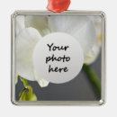 Recherche de plantes fleurissants ornements Floral