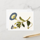 Recherche de botaniste cartes postales Plante