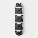 Recherche de taureau skateboards Bouledogue