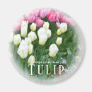 Recherche de tulipe maison deco Blanc