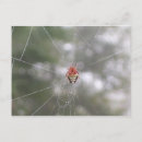 Recherche de tisserands cartes postales Nature