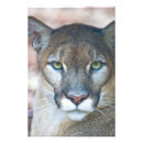 Recherche de la chaîne alimentaire posters Faune