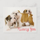 Recherche de bouledogues anglais cartes postales Chien
