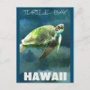 Recherche de tortue de mer cartes postales Illustration