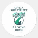 Recherche de refuges autocollants Chien