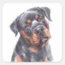 Recherche de rot autocollants Chien