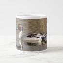 Recherche de étang de canard tasses Oiseau
