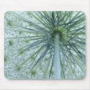 Recherche de carottes tapis souris Vert