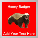 Recherche de honey badger posters Blaireau de miel