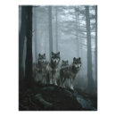 Recherche de photo de loup posters Toute personne