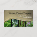 Recherche de de fines herbes cartes visite Holistique