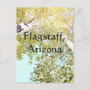 Recherche de bouteur cartes postales Nature
