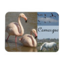 Recherche de la france magnets Blanc