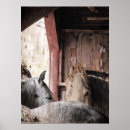 Recherche de horse posters Photography