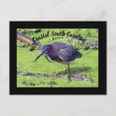 Recherche de heron cartes postales Oiseau