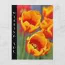 Recherche de tulipe rouge jaune cartes postales Tulipes