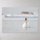 Recherche de paysages posters Paysage marin