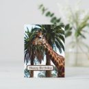 Recherche de donne cartes postales Faune