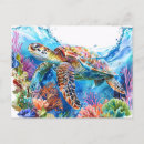 Recherche de tortues marines cartes postales Pour tous