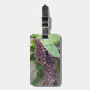 Recherche de vigne bagages étiquettes Raisins
